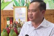 Ngành gỗ đang đối mặt với nhiều khó khăn p3