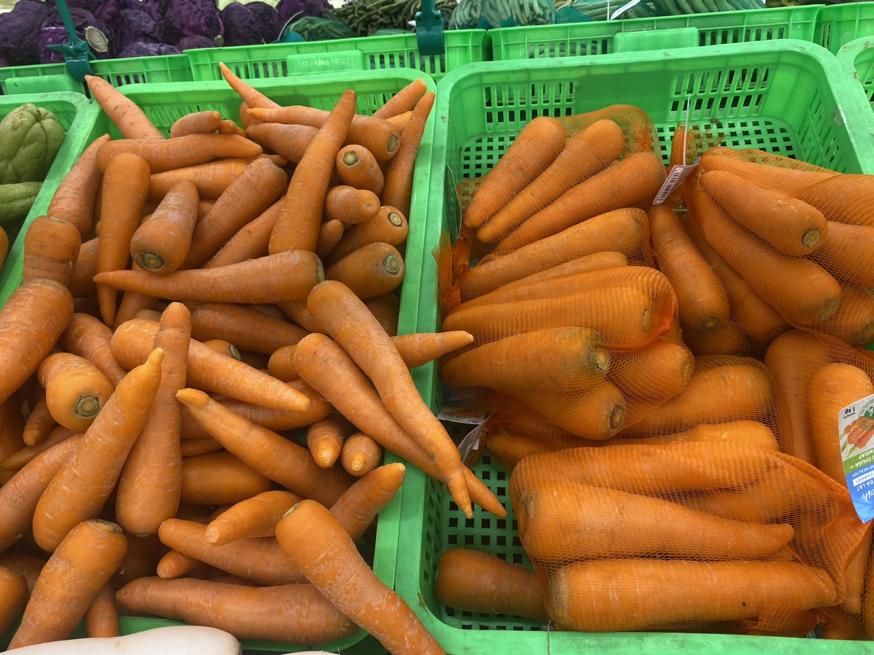 z4049933082622_dac2529a89f73ece4e8c919aa8aed3ff (1).jpg