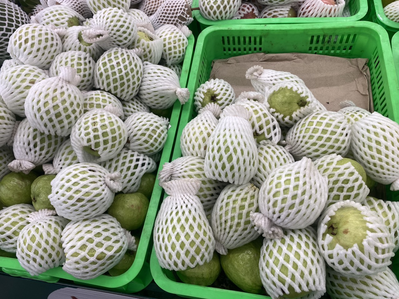 z4070099699746_f37676643316b7d3c04d917217cb2e44 (1).jpg