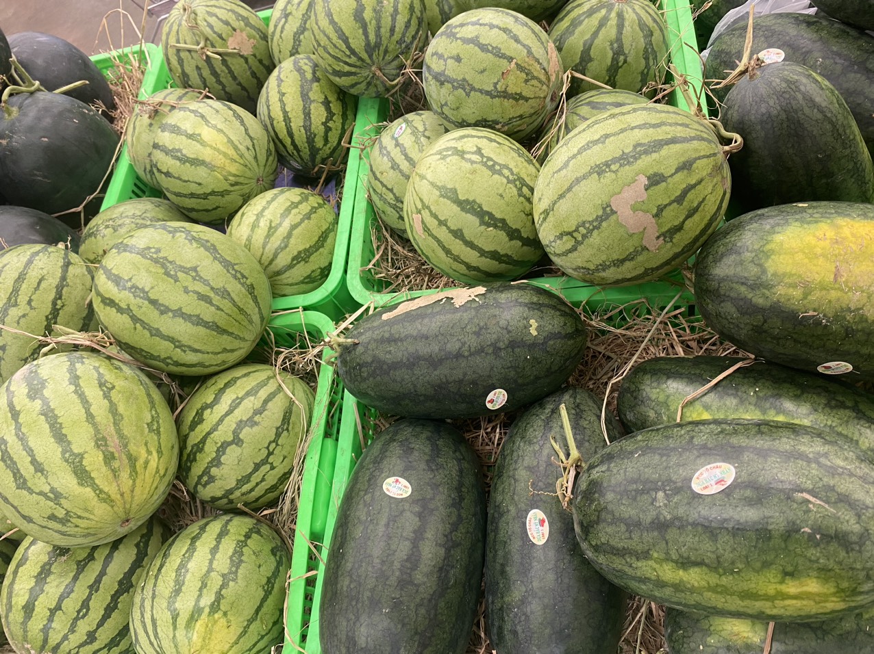 z4070099706933_eb72ddf9c674cb19c55f36f8d568f0fa (1).jpg